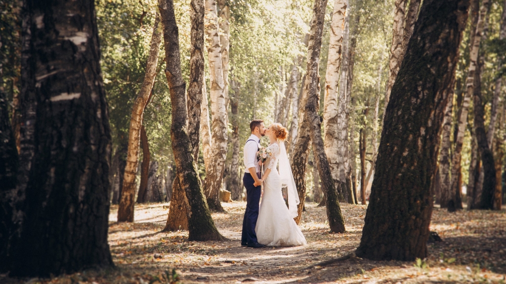 Больше фото здесь
http://vavfoto.ru