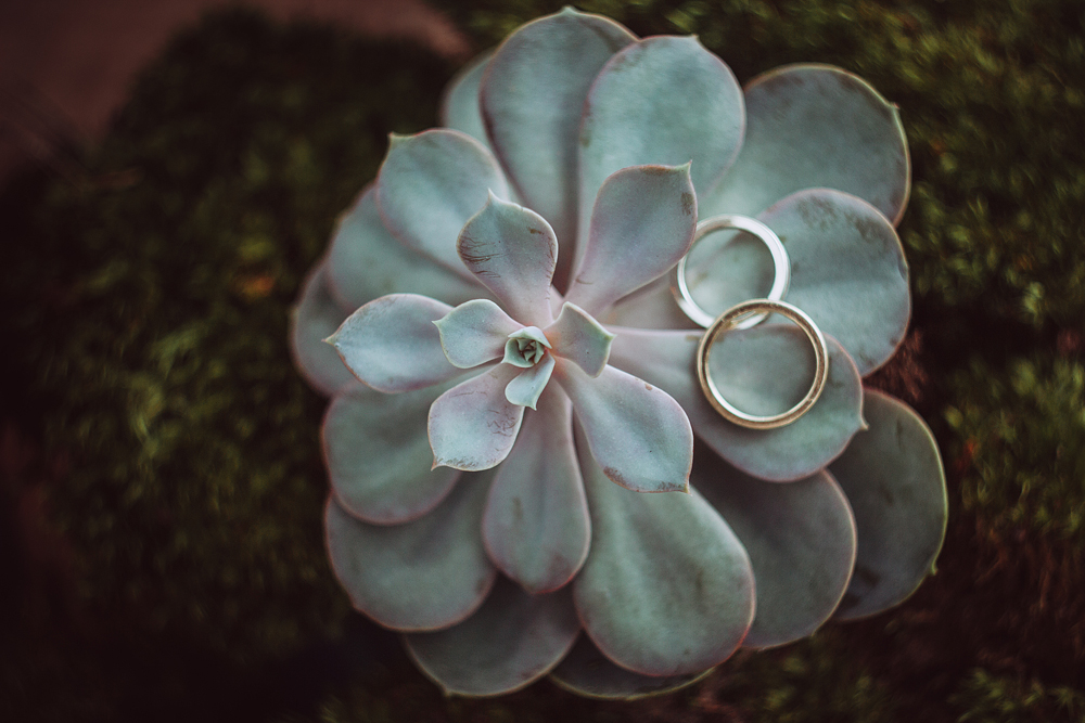 Любовь в Солнечном
Надя и Женя