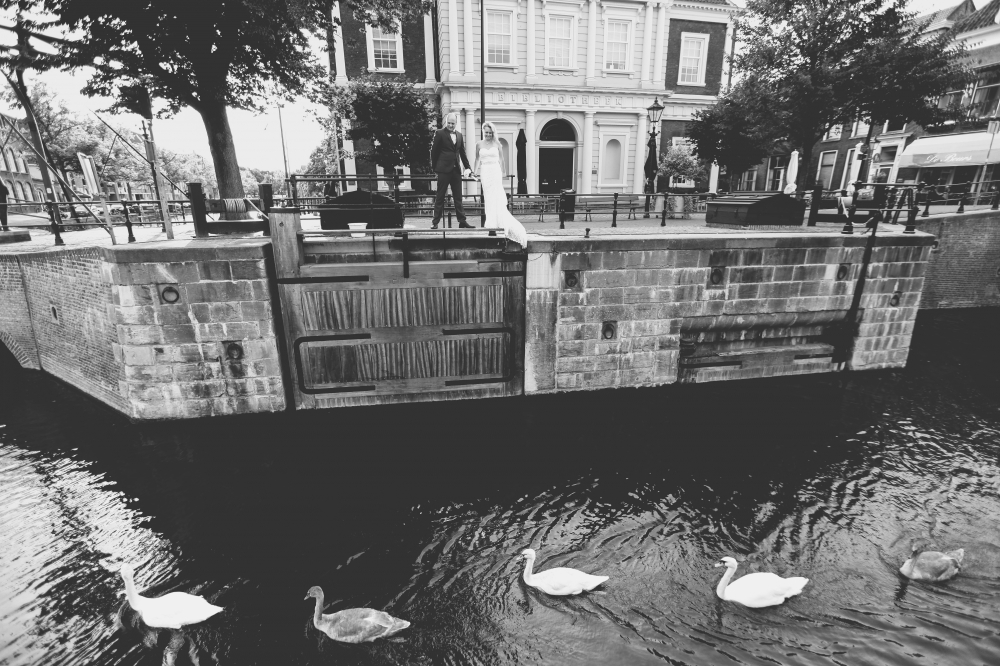Лебеди. Свадебная фотосессия в тихом городке в Голландии.