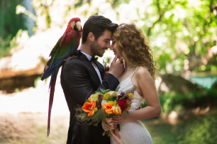 Тропическая свадьба