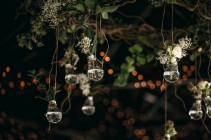 Лампочки в роли вазочек для цветов