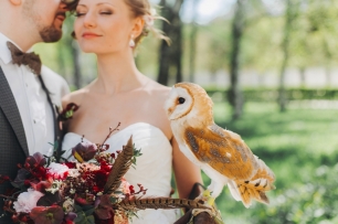 Фотосессия с совой