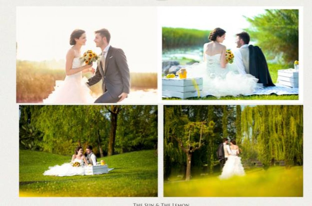Sunflower Wedding