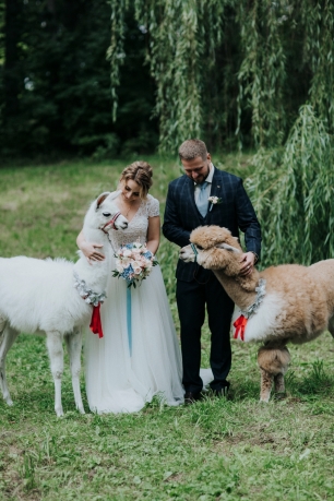 Фотосессия с ламой и альпакой