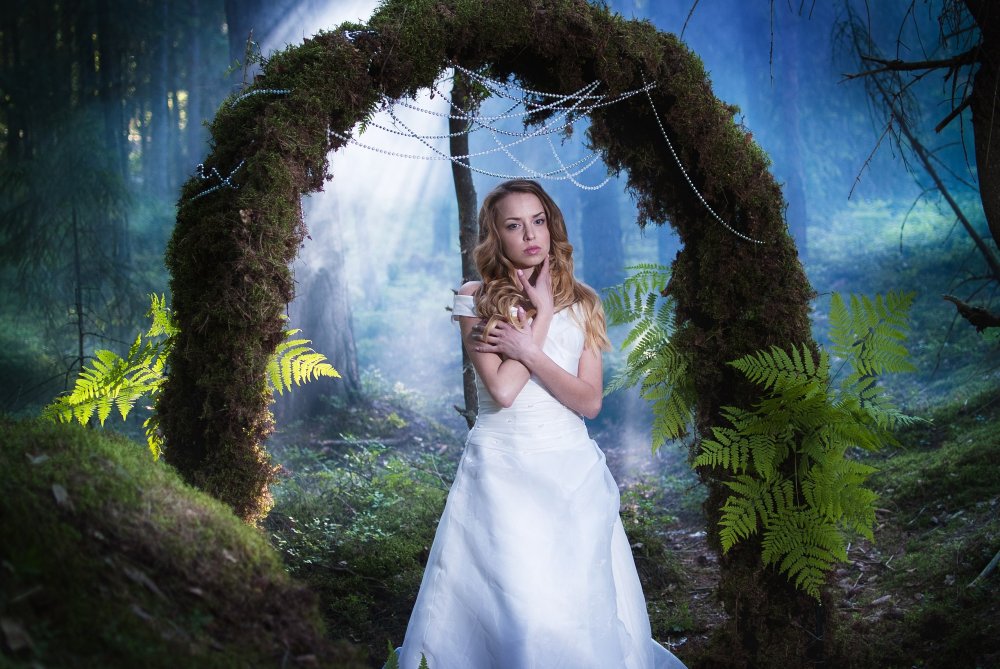 Арка из мха в волшебном лесу