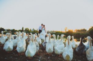 Необычная свадебная прогулка