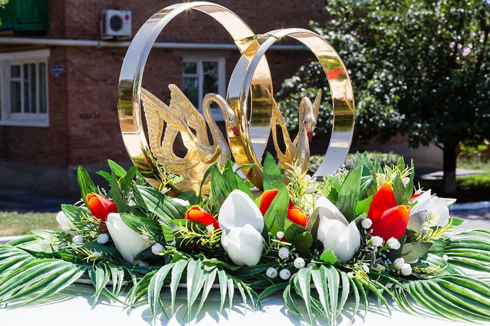 Видеосъёмка и фотосъёмка профессиональная (свадьба, выписка из род.дома, выпускные, утренники, дни рождения и многое другое) в Ростове на Дону и области