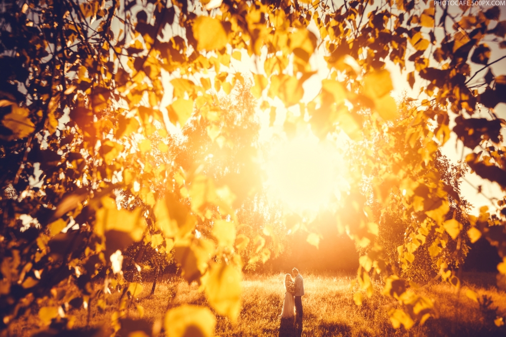 
Свадебный & lovestory фотограф в Минске и Москве.

Создаю волшебные, солнечные и жизнерадостные моменты жизни вместе с вами :)

Тел/Viber/WhatsApp: +375 29 649-10-31 

http://antonkuznetsov.pro 