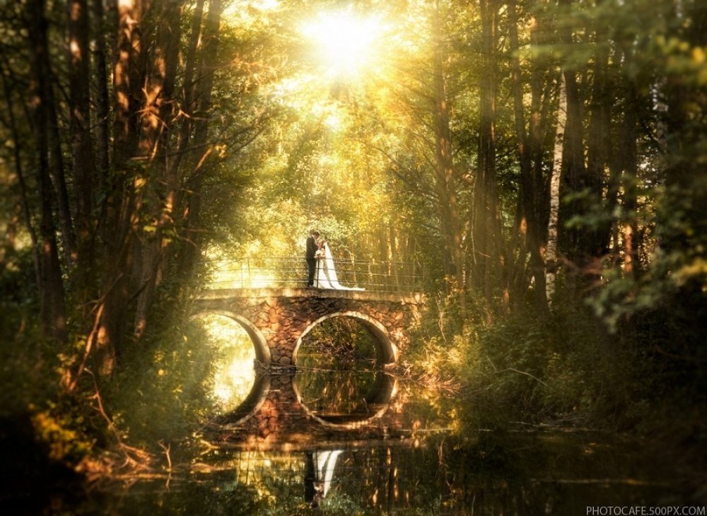 Фотохудожник Антон Кузнецов

Рассказы о съемках, серии фотографий, интересные слайдшоу и полезные статьи у меня в блоге:
http://photocafe3.blogspot.com

Социальные сети:
http://vk.com/akfotos
https://www.facebook.com/photocafe3

Портфолио:
http://photocafe.500px.com