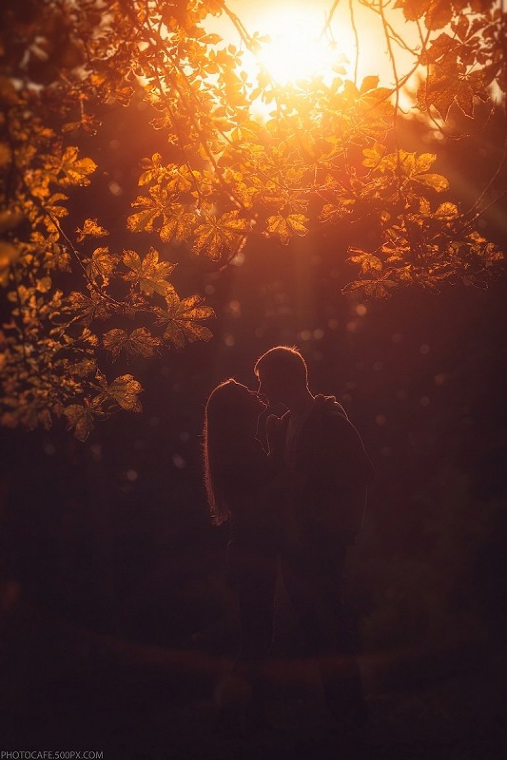 Фотохудожник Антон Кузнецов

Рассказы о съемках, серии фотографий, интересные слайдшоу и полезные статьи у меня в блоге:
http://photocafe3.blogspot.com

Социальные сети:
http://vk.com/akfotos
https://www.facebook.com/photocafe3

Портфолио:
http://photocafe.500px.com