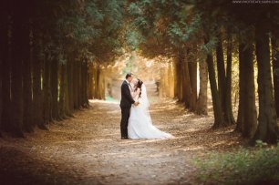 Свадебная прогулка в парке