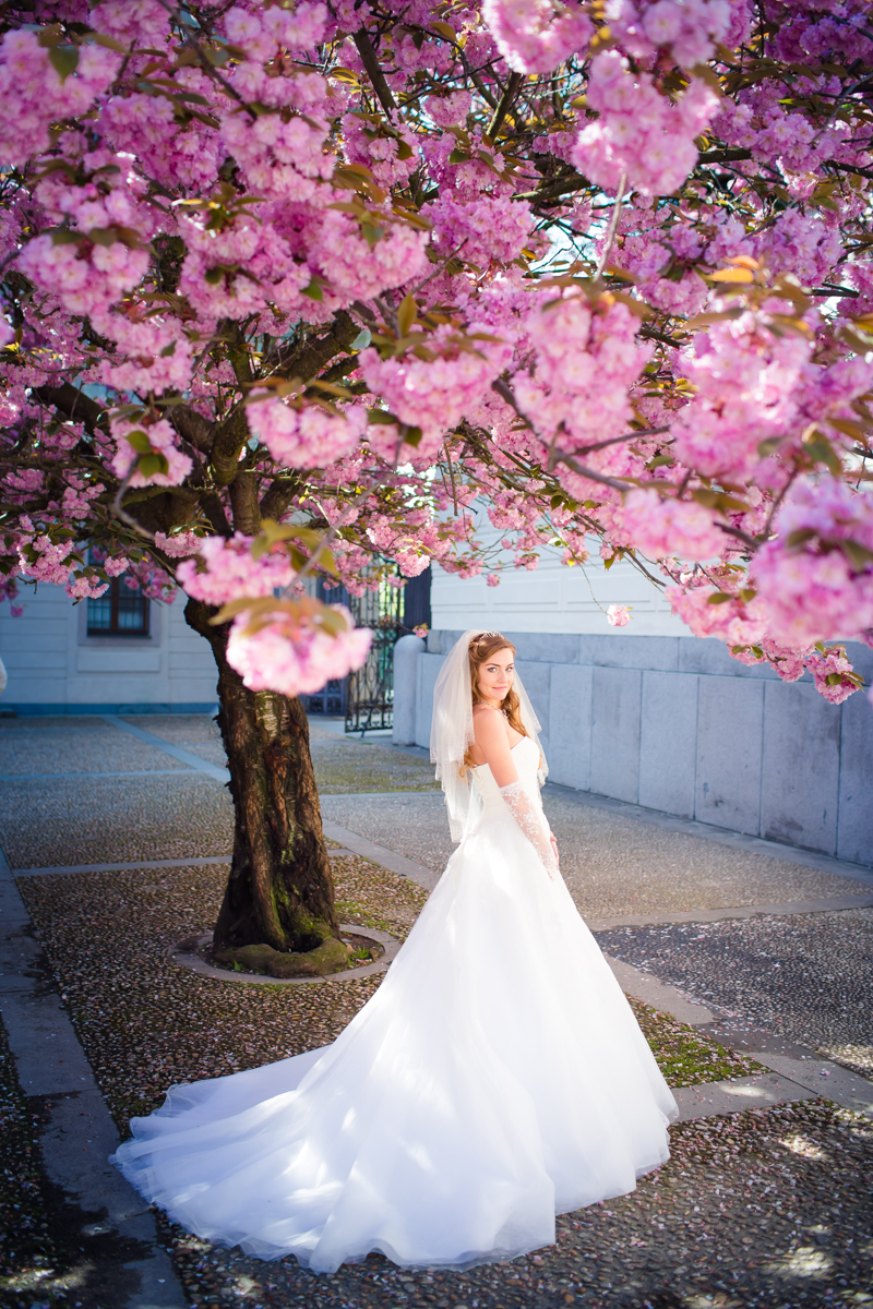 Цветущие сады и деревья Праги, наполняют светом и цветом 