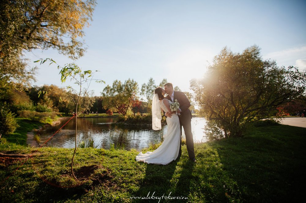 www.alekseytokarev.ru