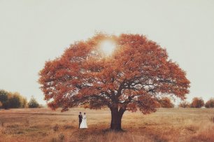 Фотосессия под огромным деревом