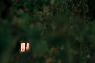 В твоем окне