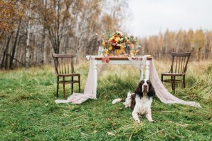 Пикник в парке