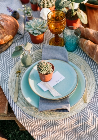 свадебный декор с горшечными растениями, фотограф КСЕНИЯ ДЕЙЧ