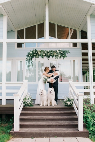 Зона регистрации с песиками