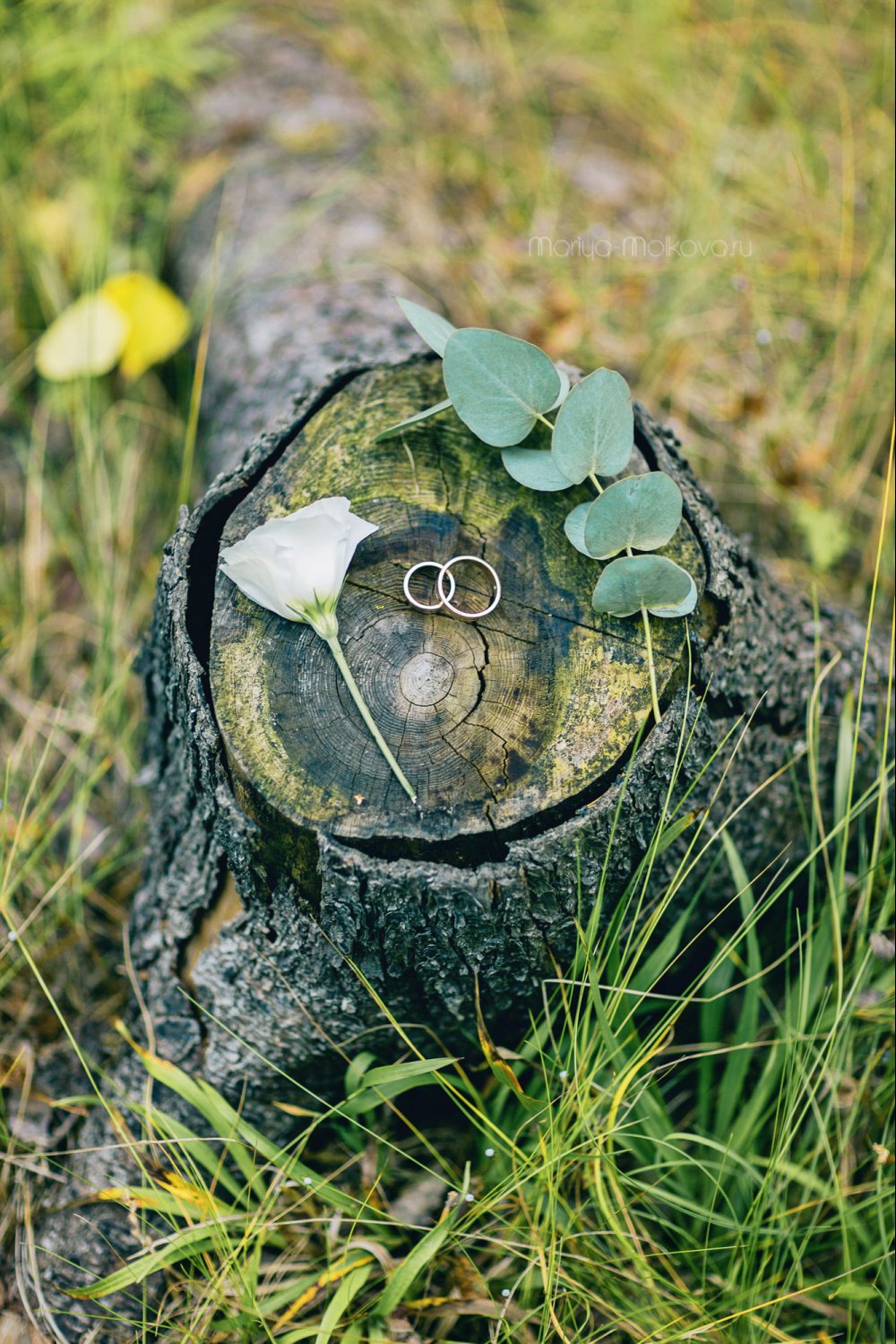 Обручальные кольца, детали