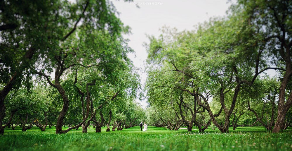 Wedding Irina and Aleksandr
Photographer: Margaret Sugar
www.margaretsugar.ru
Больше фото можно посмотреть в блоге http://margaretsugar.ru/svadba-v-kolomentskom-parke/
