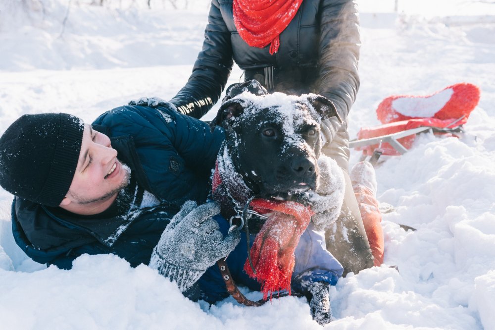 Добрая и весёлая съёмка Love Story с задорным чёрным псом 
www.the-artsoul.com