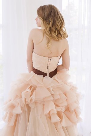 Спинка свадебного платья Валенсия Лайт Кофе