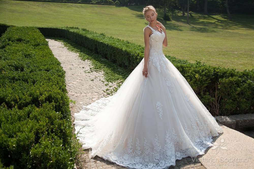6016 Dabria, collection Feasible Dream