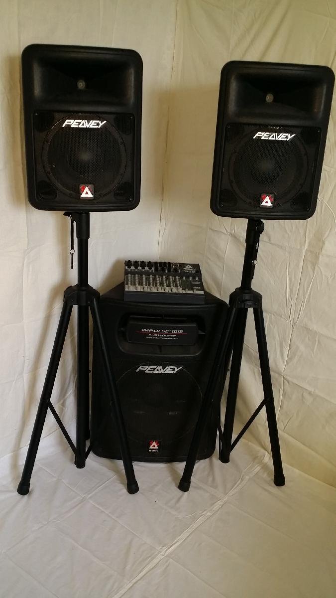 Комплект звуковой аппаратуры на свадьбу 6 кВт для музыкантов