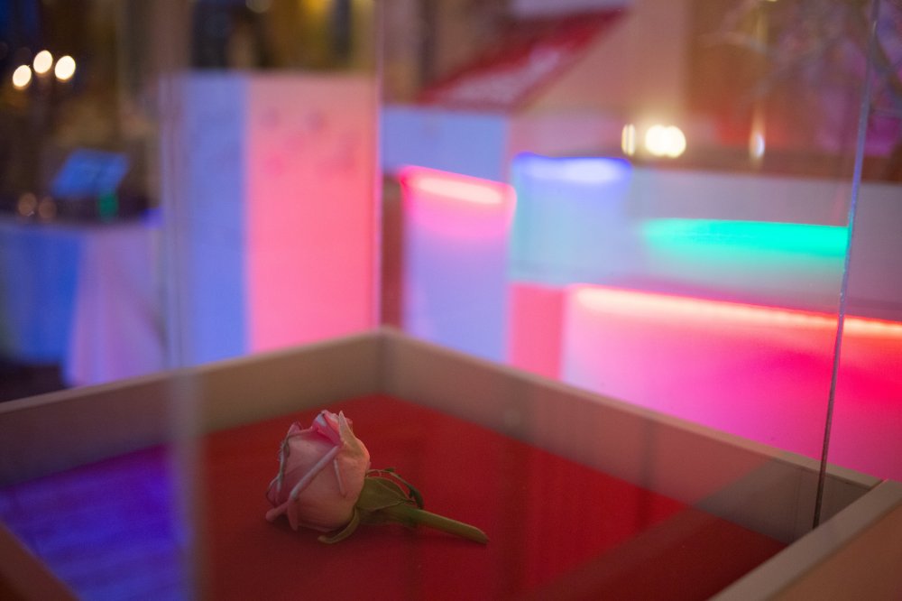 Свадебный квест для Михаила и Татьяны

http://www.lamagency.ru/#!galery/crer