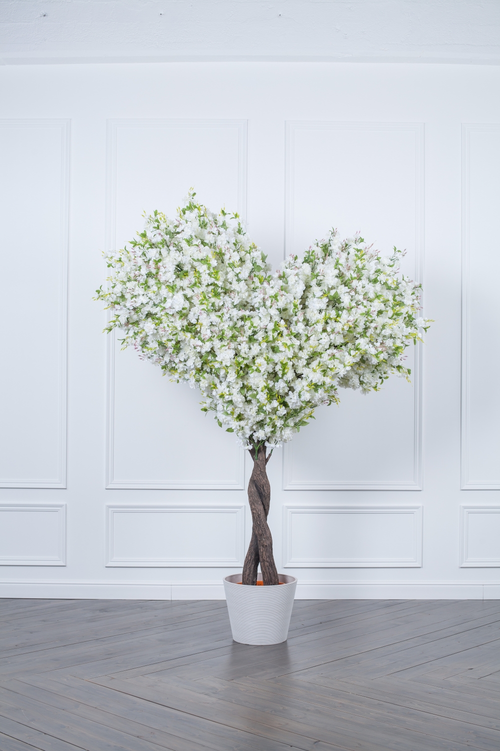 Аренда дерева "Сердце" 2,5 м. в кашпо 