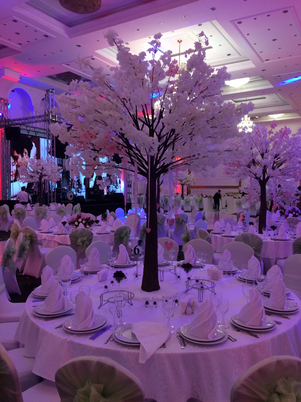 Декоративные деревья на столах 