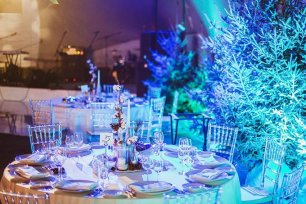 Зимнее свадебное оформление торжества