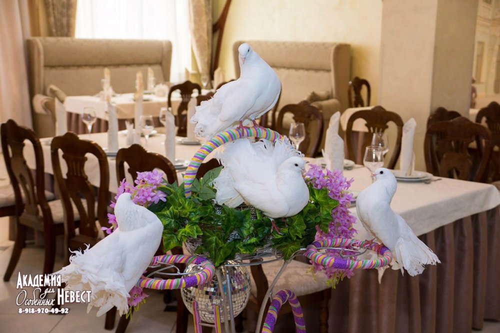 ГОЛУБИ-СИМВОЛ МИРА И СЕМЬИ