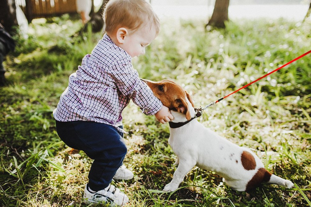 Организатор Queensbury Event
Фото Арсений Прусаков