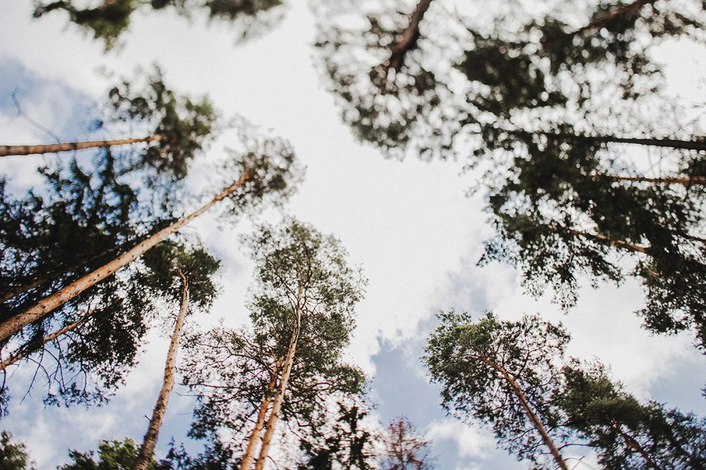 Организатор Queensbury Event
Фото Арсений Прусаков