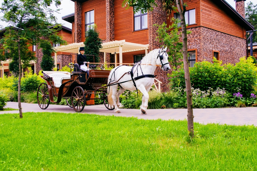 Свадьба в Артиленд