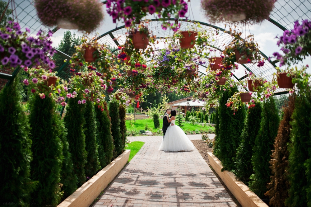 Молодожены Артиленд