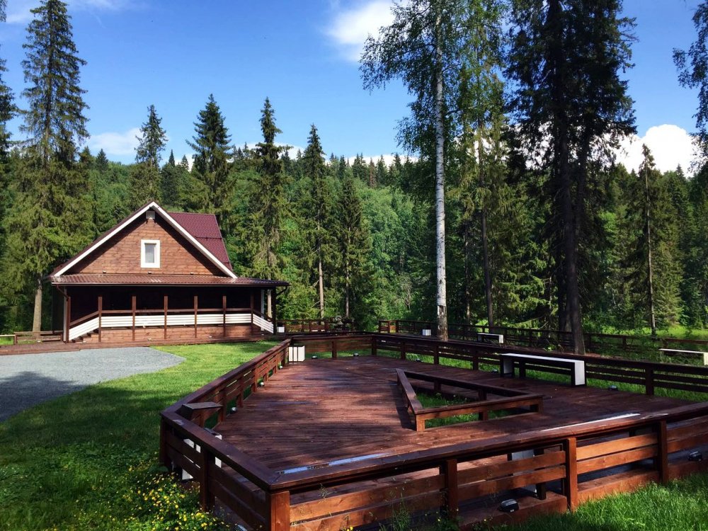 Общий вид площадки Лесной шатер