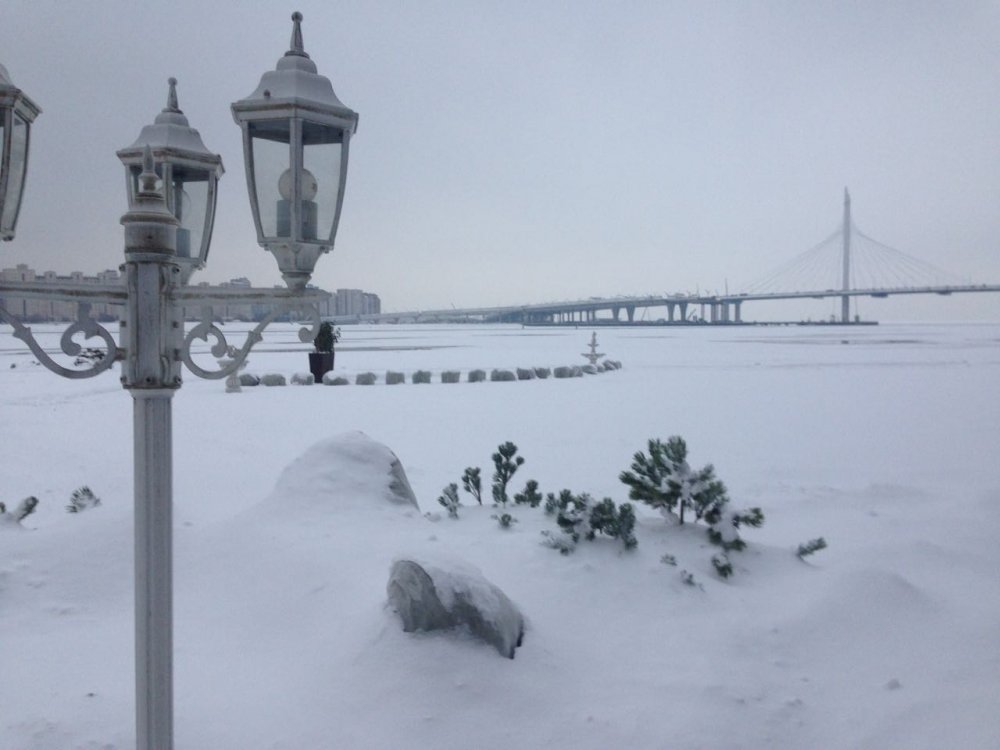 Зимние свадьбы в Royal Beach: панорамный вид на Финский залив