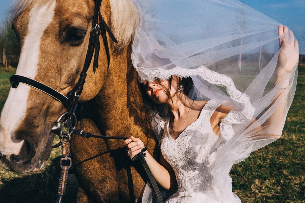 Прованс-отель "4 сезона". 
На территории собственная конюшня. 