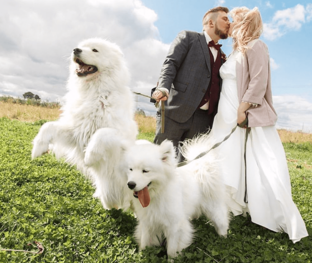 Фото с самоедами в Амбаре