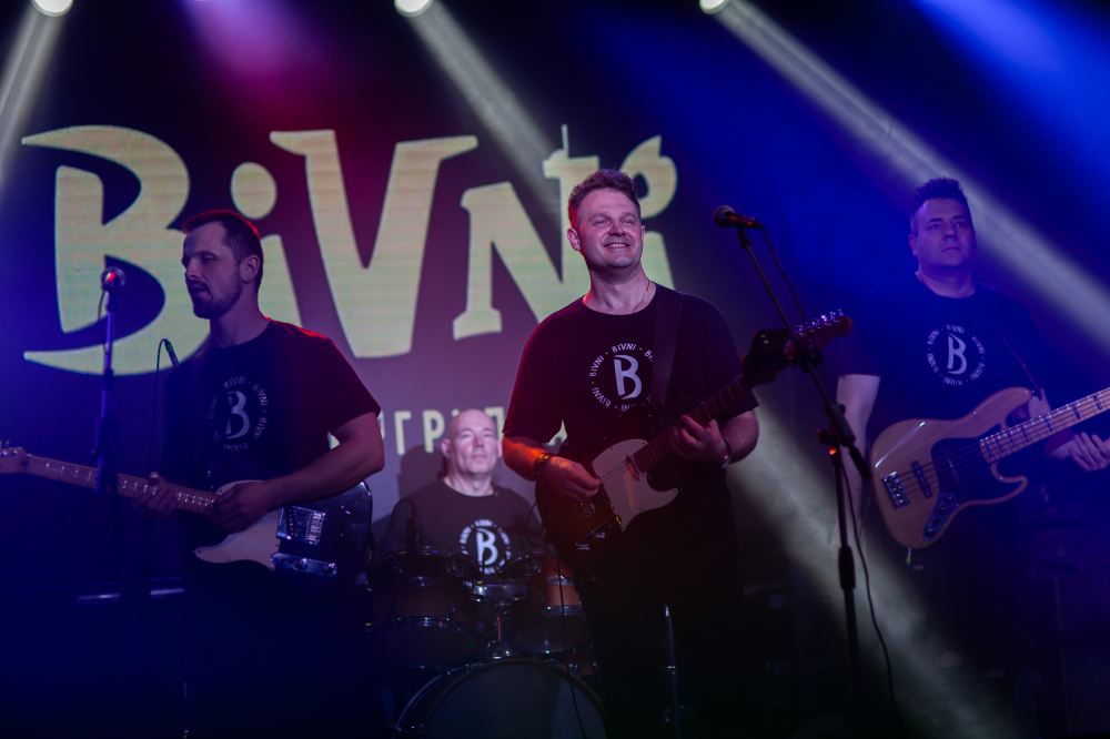 кавер группа «БиВНи»