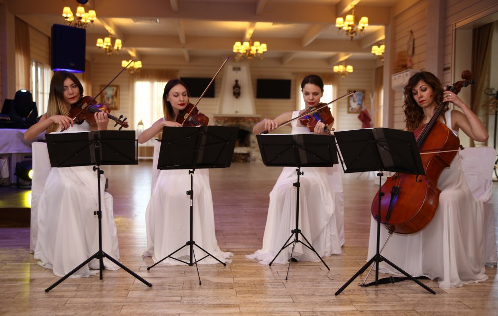 виолончель и скрипка, скрипка и альт