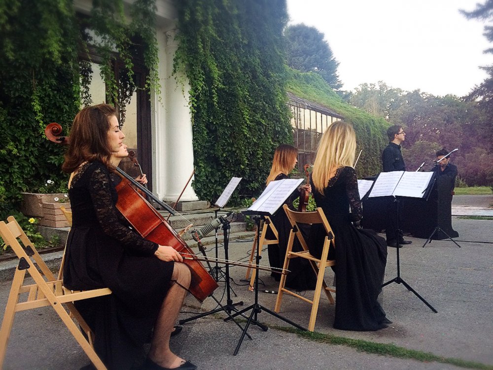 заказать струнный квартет