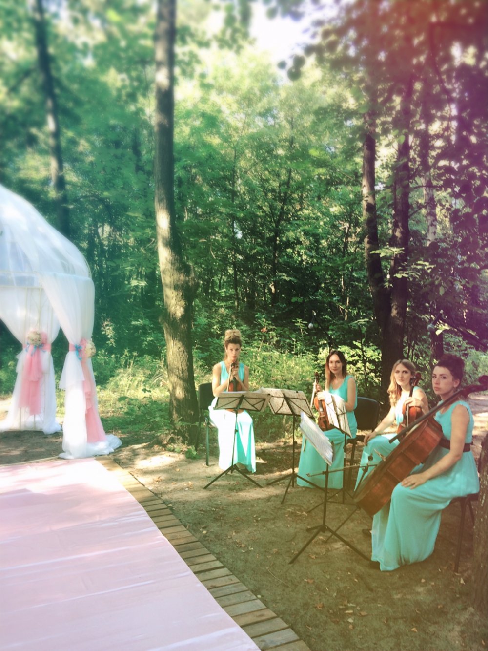 скрипка, альт, виолончель