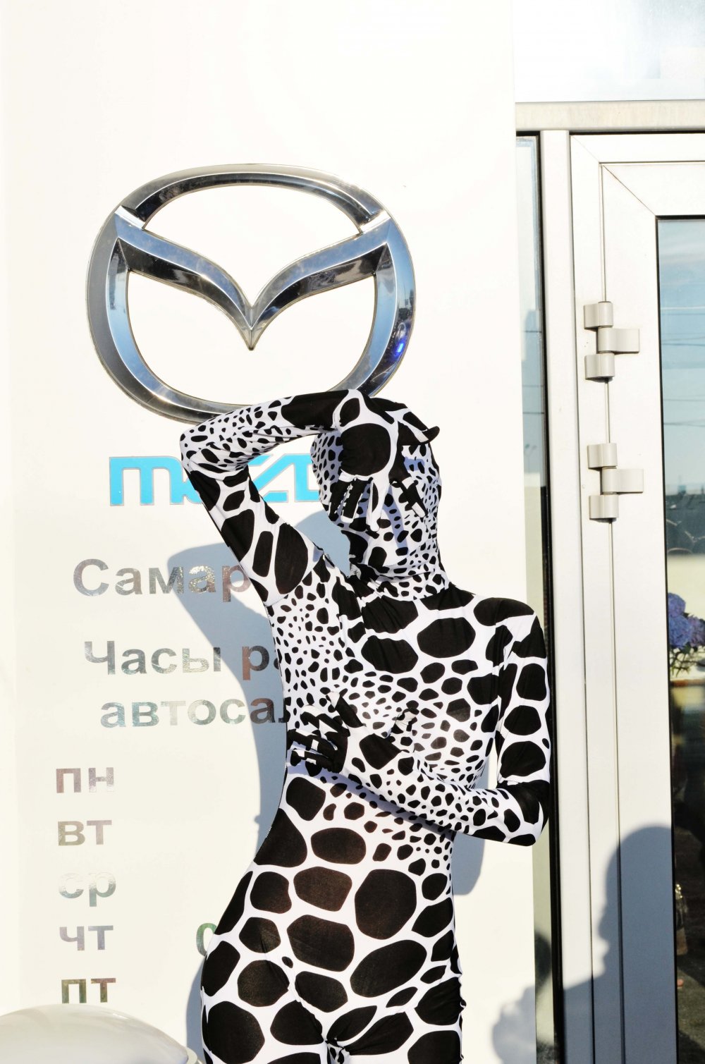 Световое щоу Селебрити_Celebrity Show