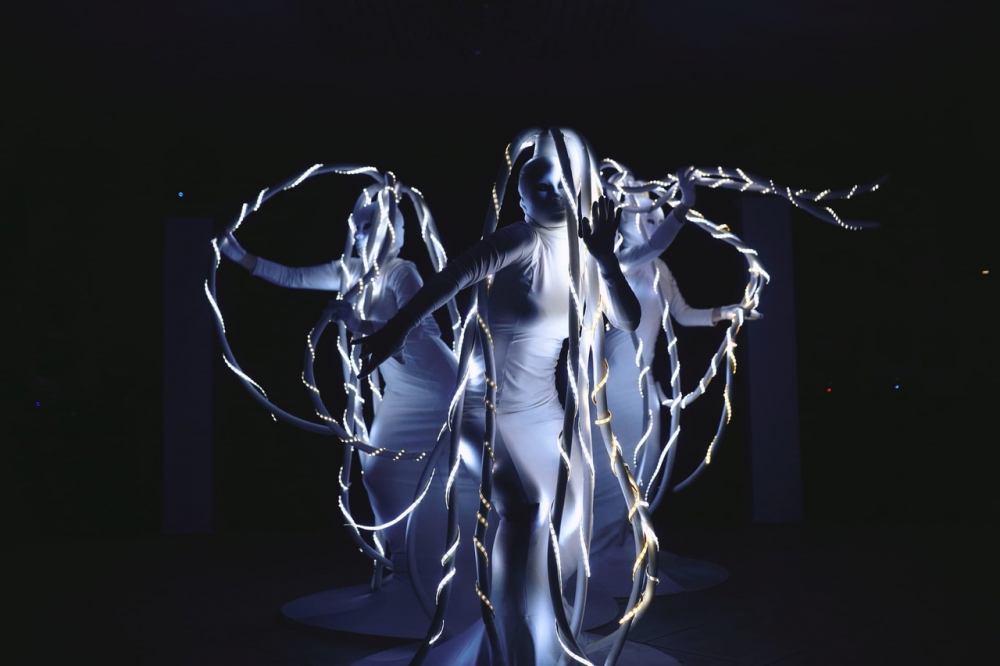 Шоу-программы Celebrity show