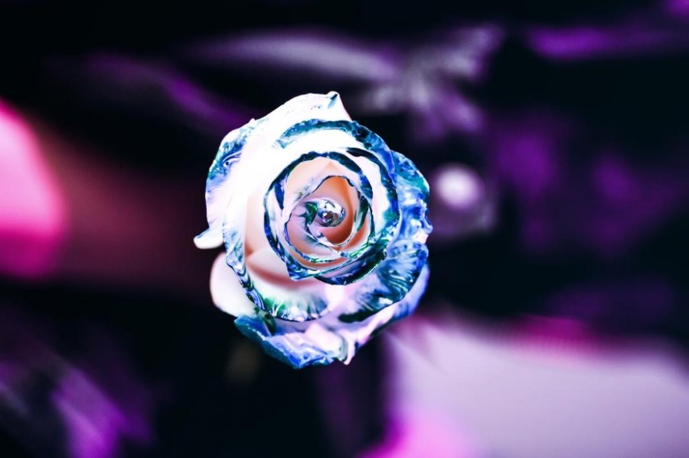 3D-рисование:
Мастер-класс по рисованию на объемных предметах (цена указана за час работы).