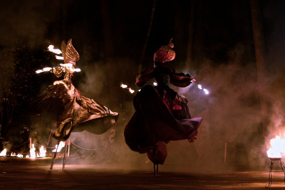 Сказочное фаер шоу Эльфийская ночь