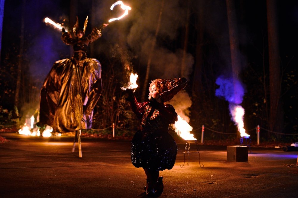 Сказочное фаер шоу Эльфийская ночь